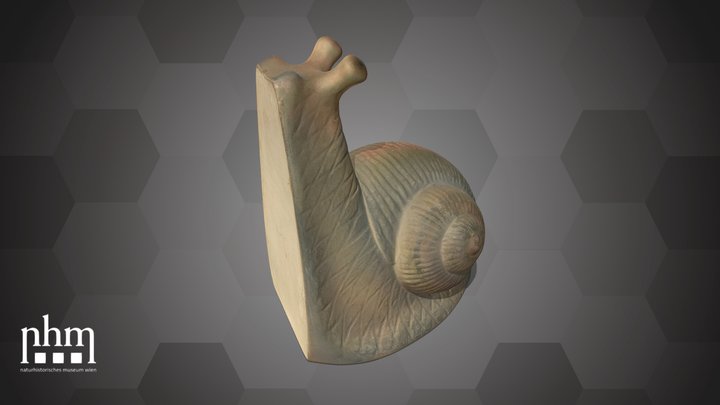 Snail Bookend (NHMW-ZOO-MO-0081100-ETH-0041) – Modello 3D gratuito STL