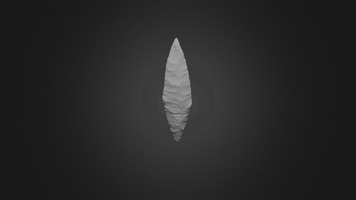 Flint arrowhead 3D Model