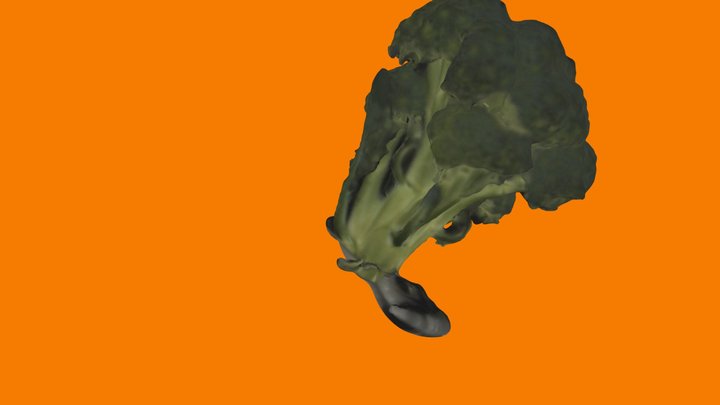 Broccoli 3D Model