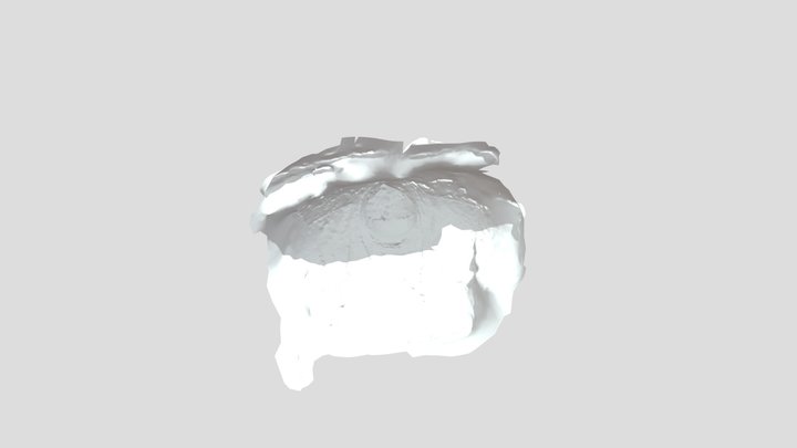 3D Scan Experiment 3D Model