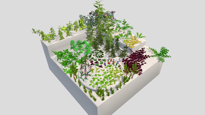 (PBR) Low-Grow Flora Showcase 1 3D Model