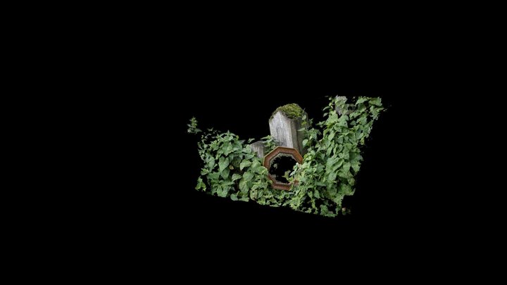 post_nettles - reducedCloud 3D Model