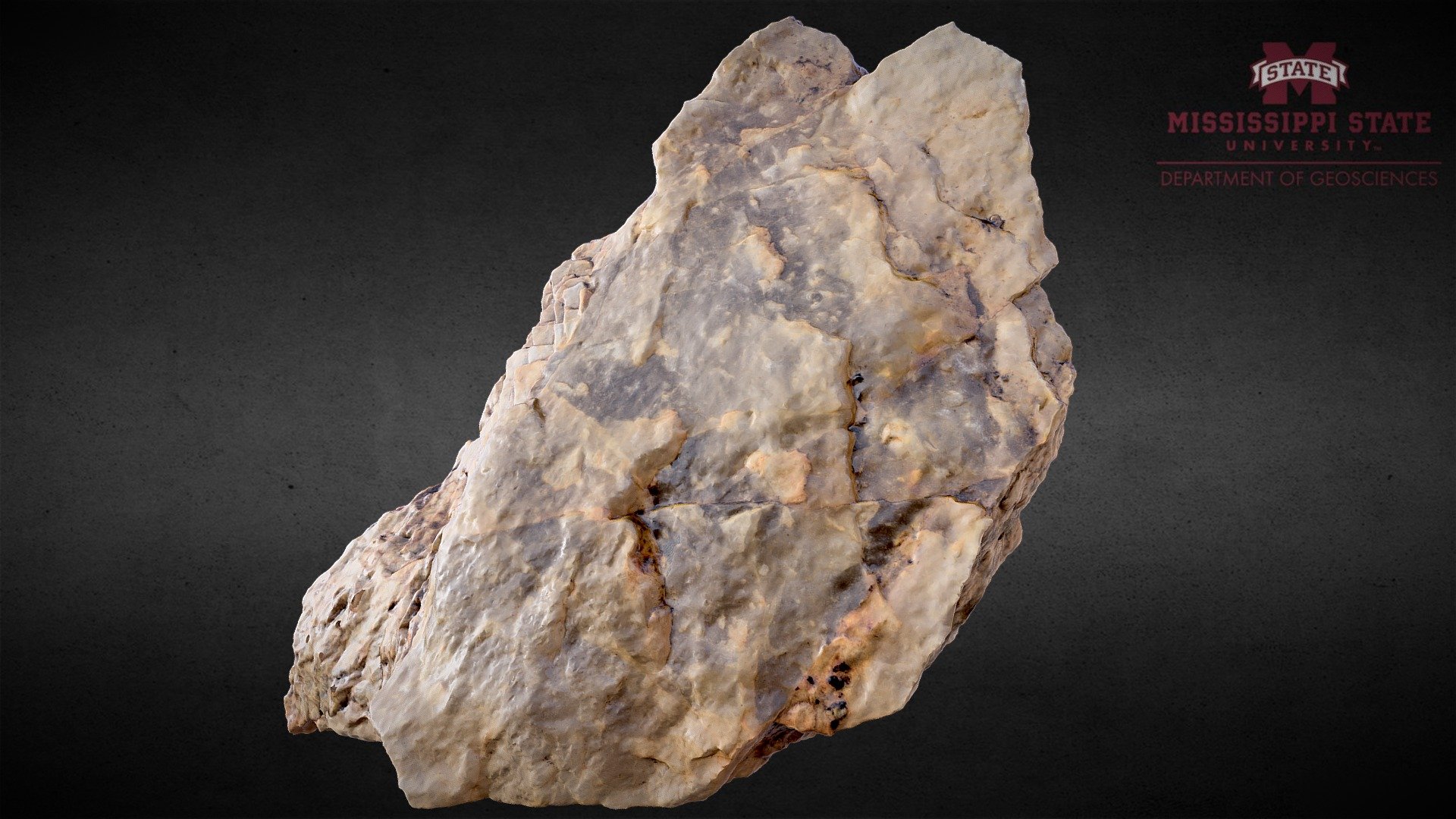 Specimen 5 - 3D model by Youngwoo Cho (@yow) [f91ef1f] - Sketchfab