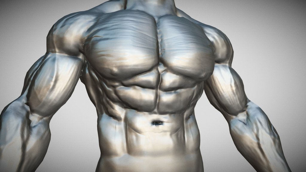 bodybuilder base mesh