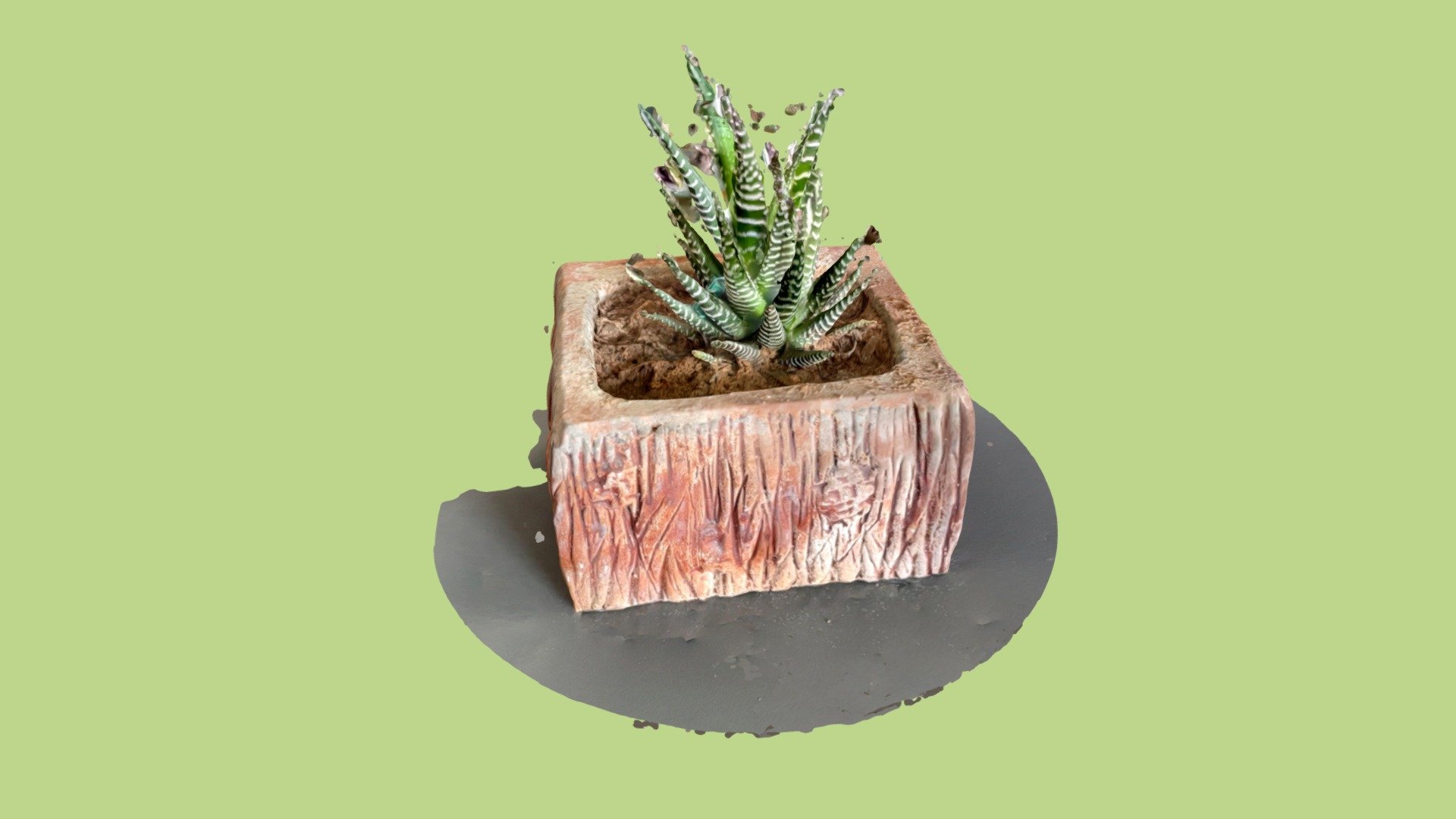 Little plant with Trnio app