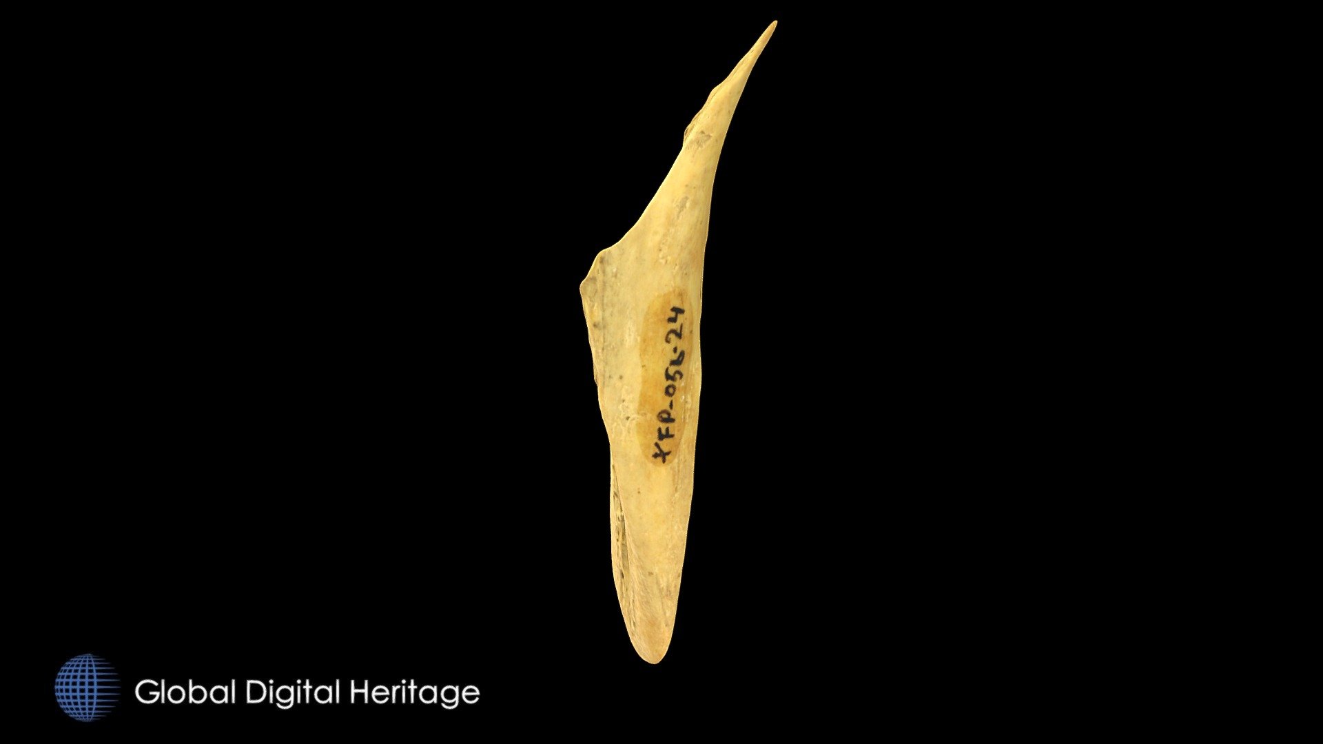 XFP-056 Polished bone, Sanak Island, Alaska.