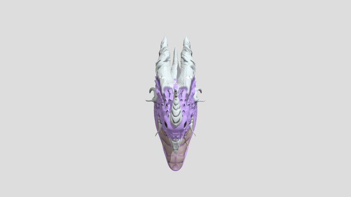 Drago 3D Model