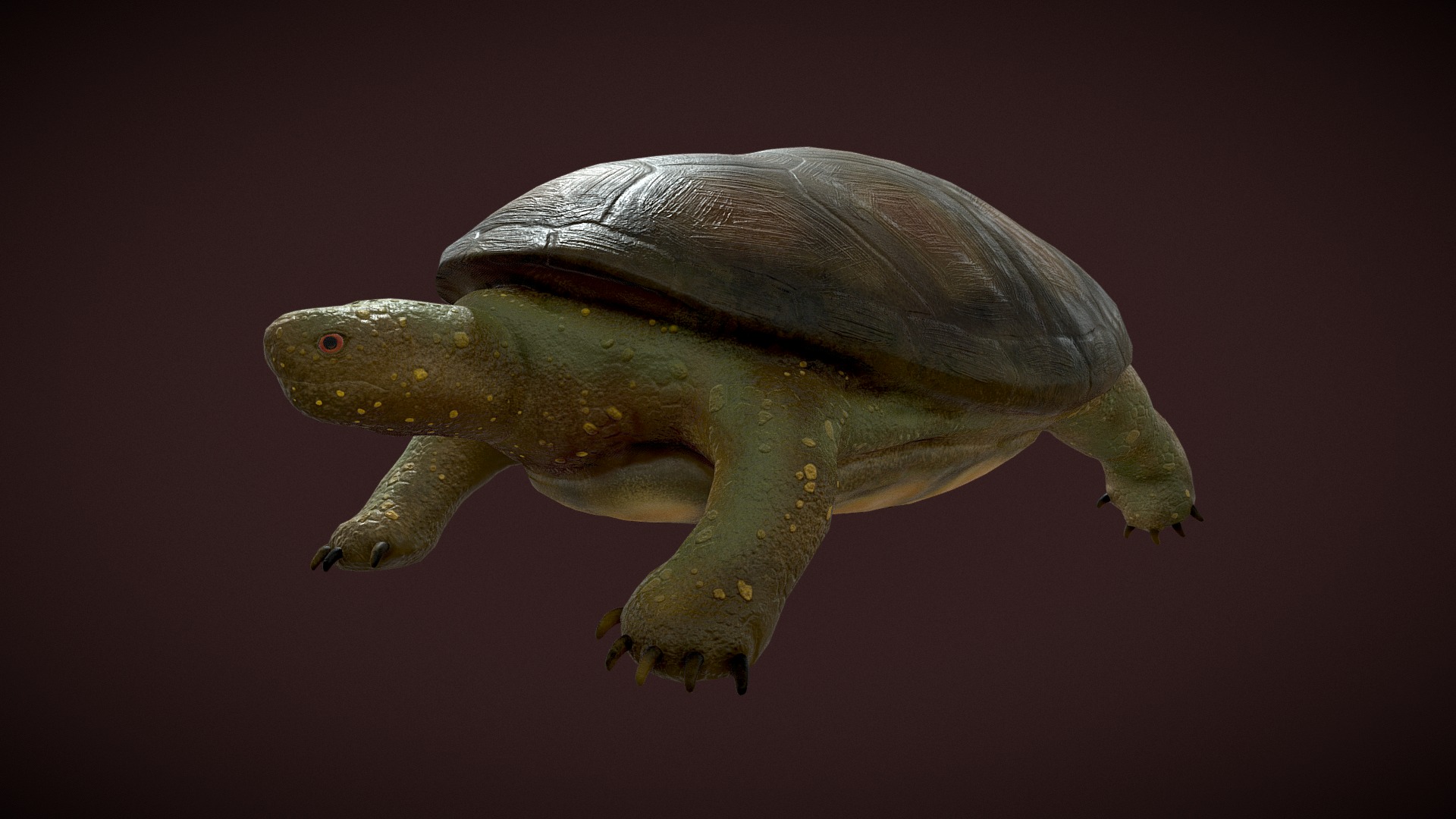 3D model Turtle - This is a 3D model of the Turtle. The 3D model is about a green and white lizard.
