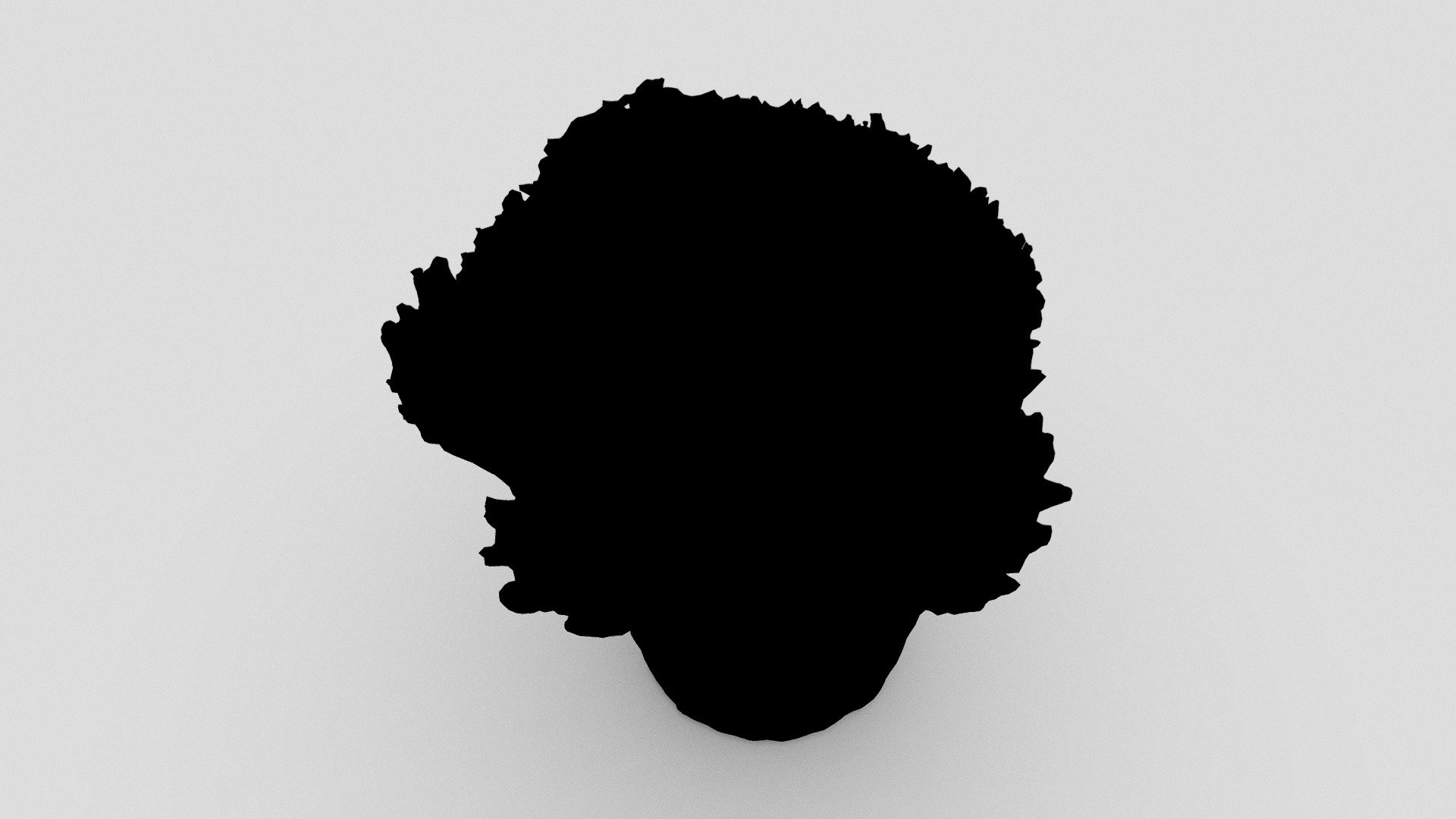 Cabbage plant