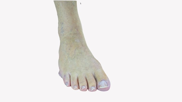 Footcare_05 (Right) 3D Model