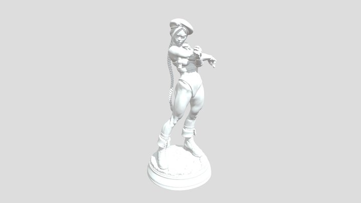 Cammy 3D Model