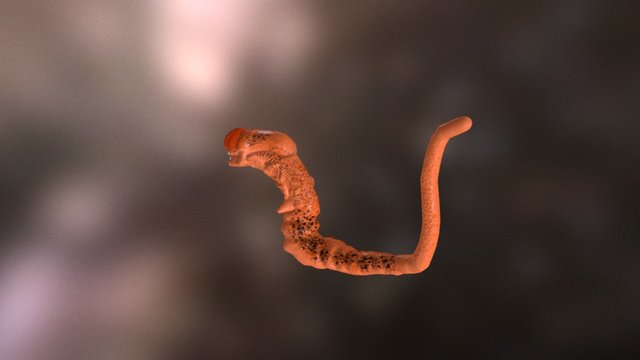 Chestburster2016 3D Model