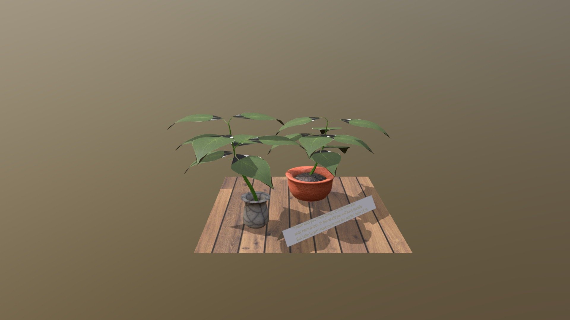 Wk8 Plant Project Yoder Evan