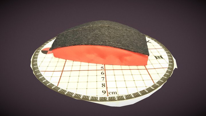Fabric_test_#16 Mat_3 Dart_60 – Kostenloses 3D-Modell STL