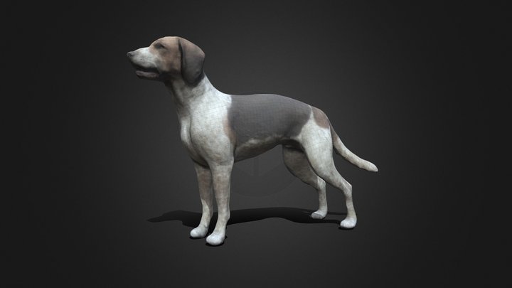 Dog 3 3D Model