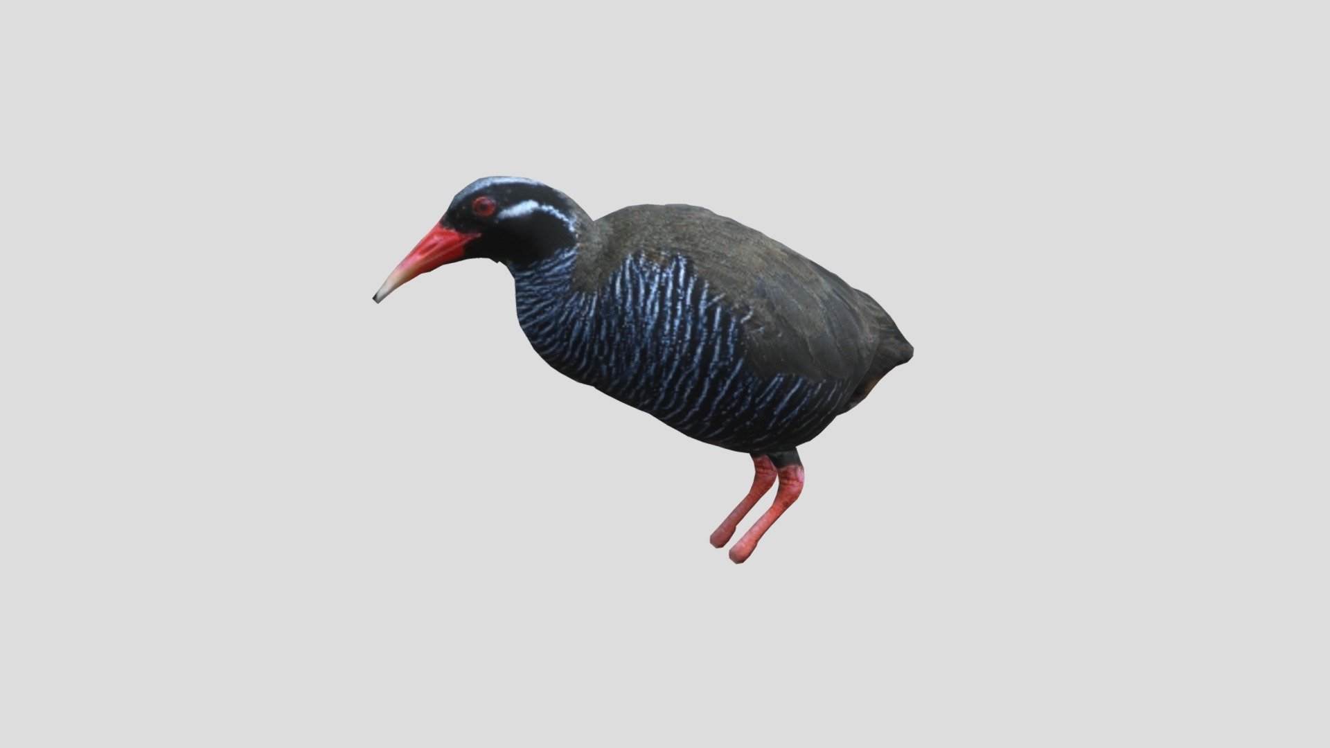 model_124255861289_Okinawa_Rail