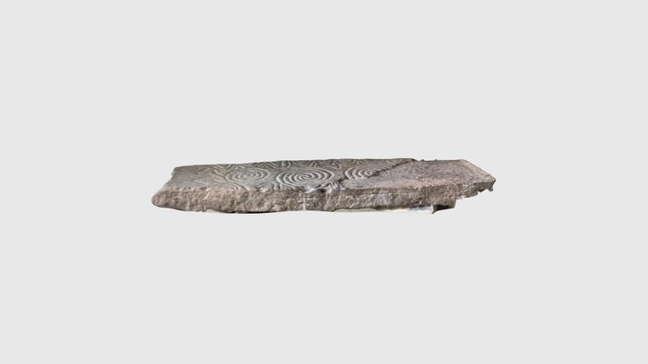 Cork Public Museum cape clear stone 3D Model