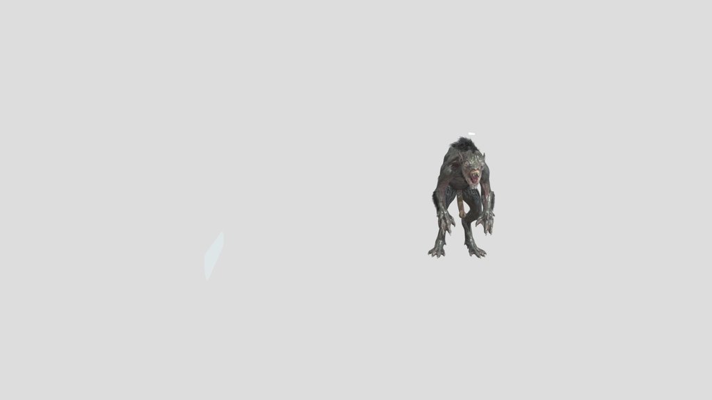 Watcher