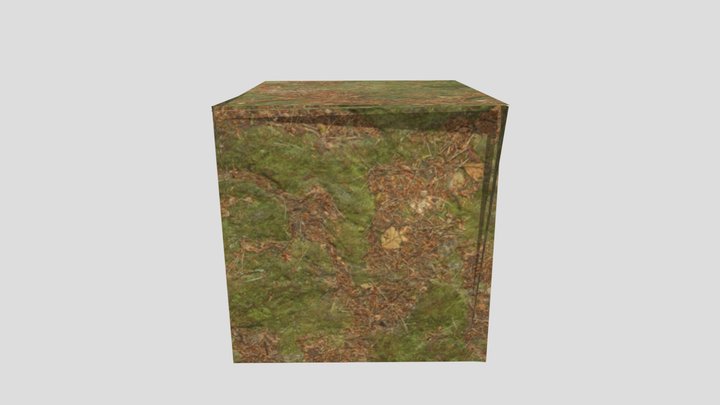 Modeltest2 3D Model