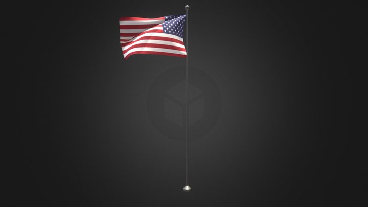 Flag 3D Model