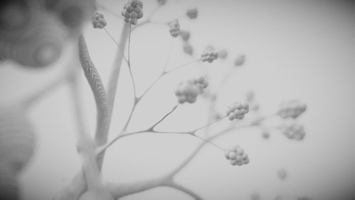 Alveoli 3D Model
