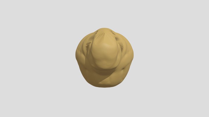 My model 3D Model