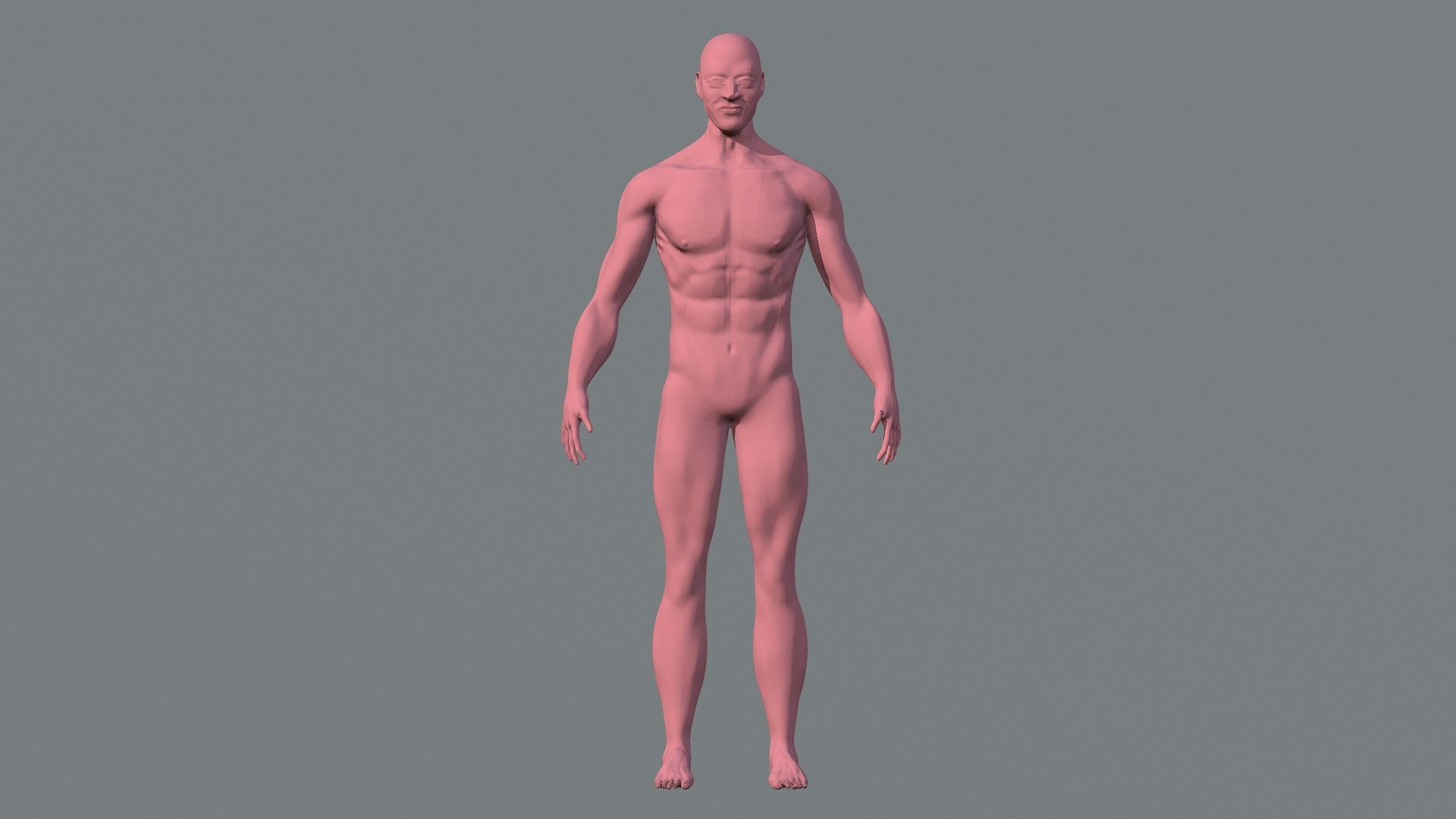 Modelo Anatómico