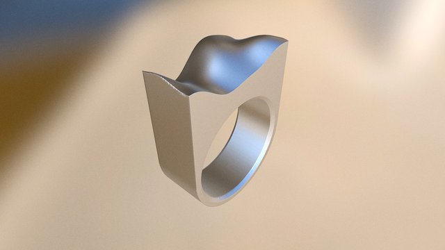 Noise Ring [Made in F3] 3D Model