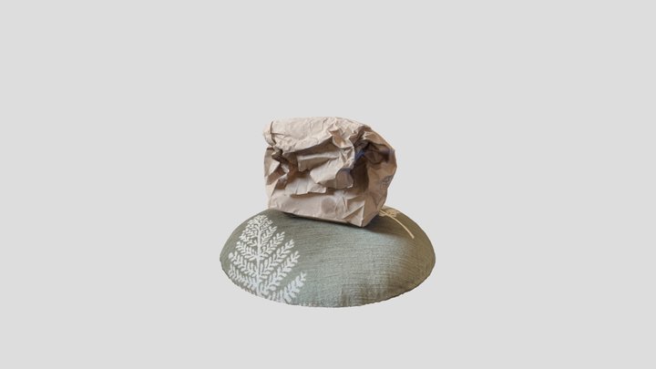 Crumpled Paper Bag 3D Model