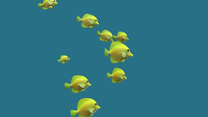 The model fish school with two quadrats and ten of four different fish