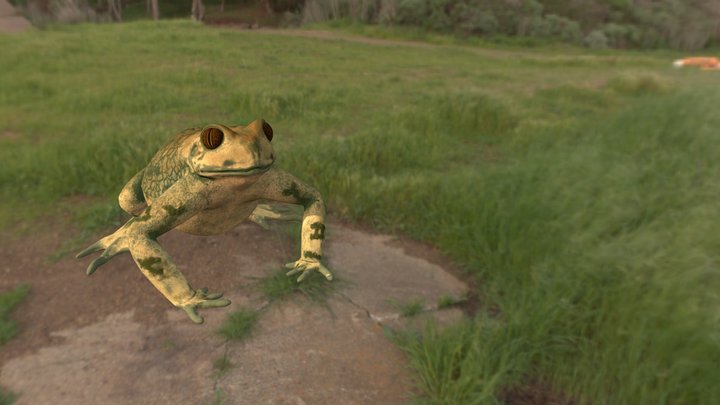 Frog Low Poly 3D Model