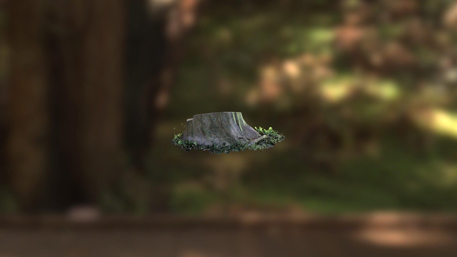 Tree Trunk