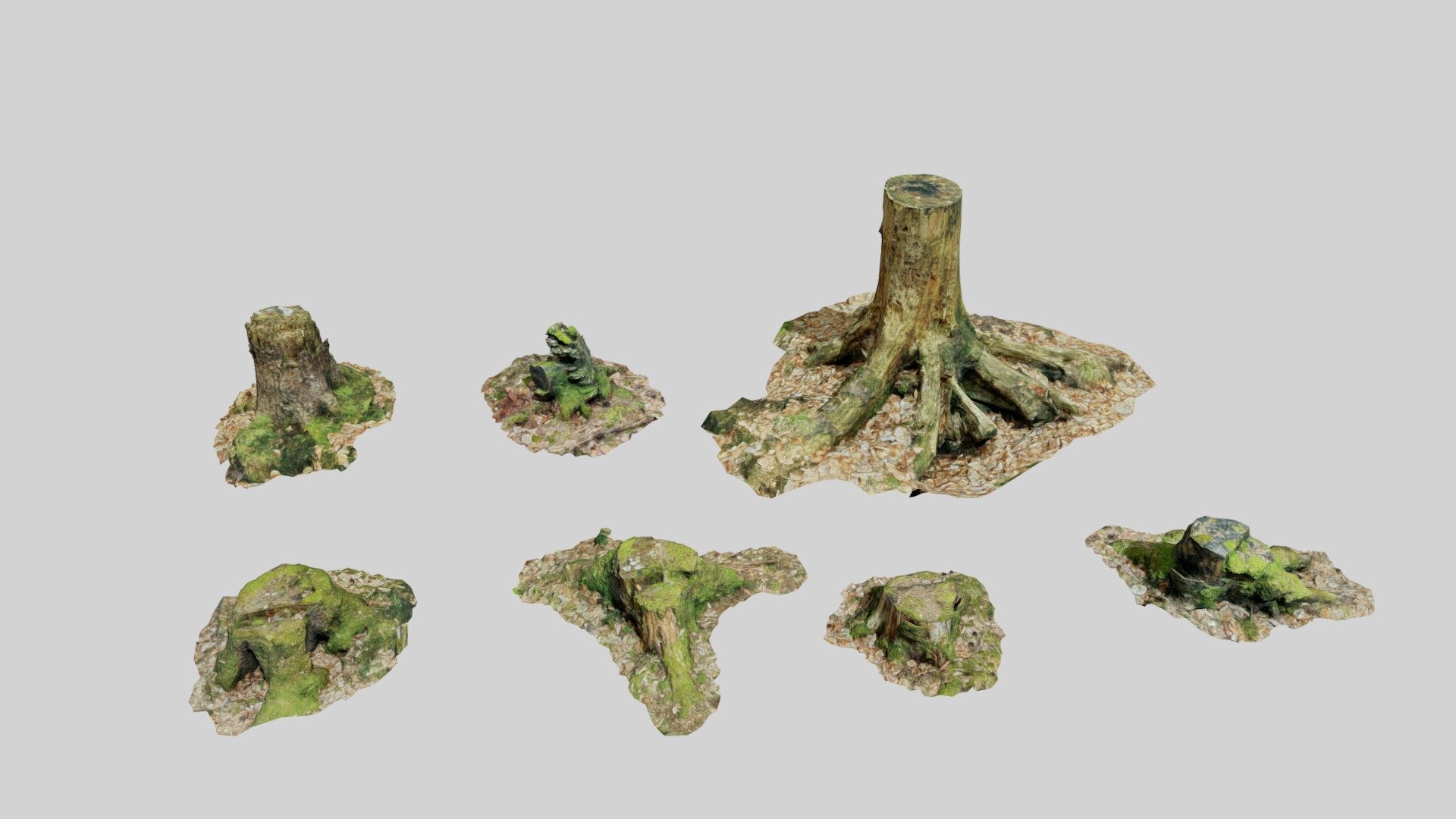 Tree Stump Collection Forest Dead Scan - Buy Royalty Free 3D model by ...