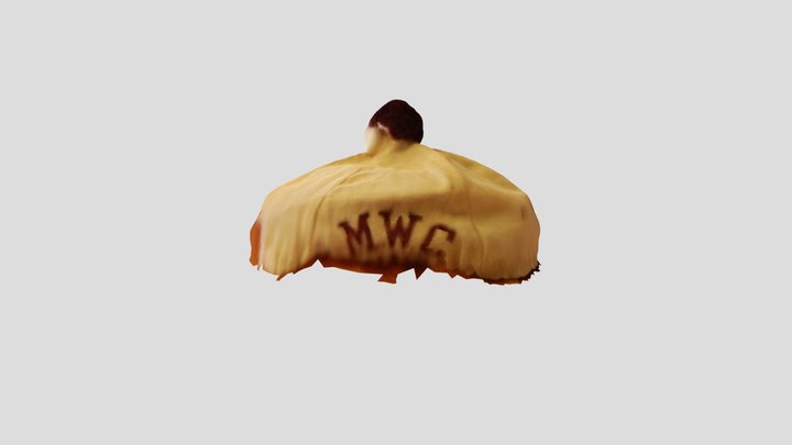 MWC Beanie 3D Model