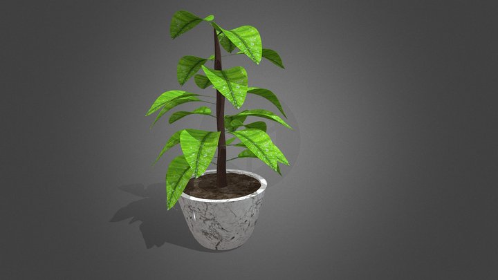 Lowpoly_Pot_plant 3D Model