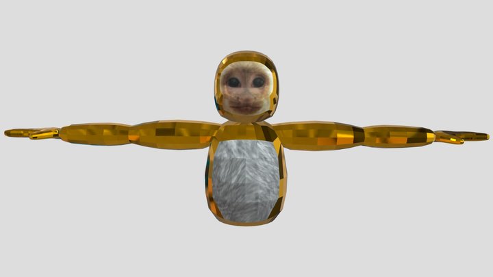 Golden Capuchin 3D Model