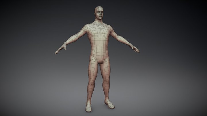 Human Base Mesh - Male 3D Model