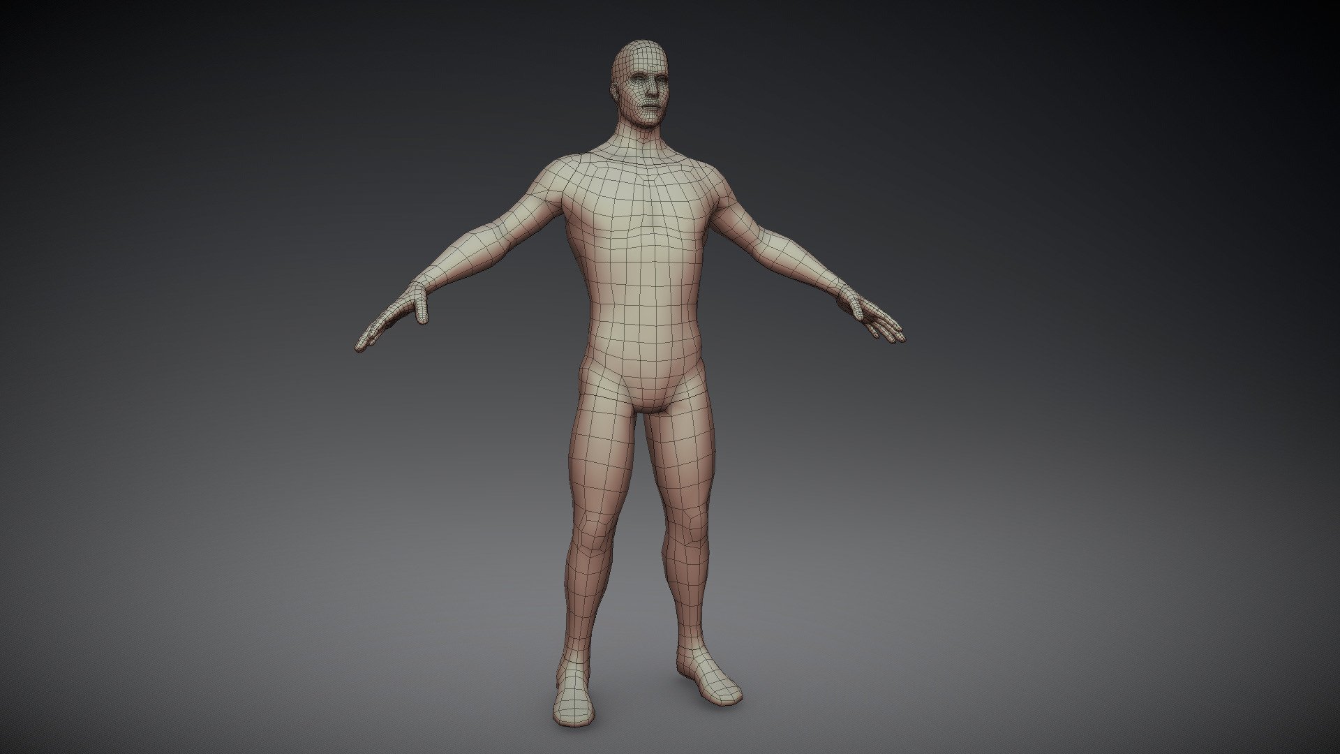 Human Base Mesh - Male - Download Free 3D model by CarvMad (@Ryan ...