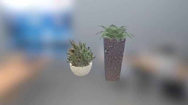 Plant Try 3D Model