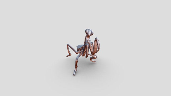 Mantis specimen 3D Model