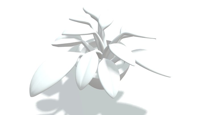Plant 3D Model