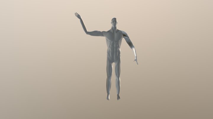 Estudio anatomia posado 3D Model