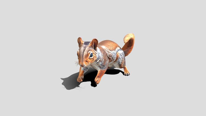 Leap of the Red Squirrel – Modelo 3D gratuito STL
