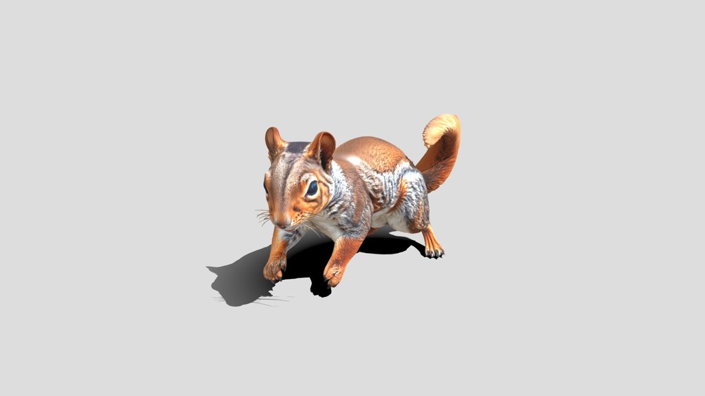 Leap of the Red Squirrel