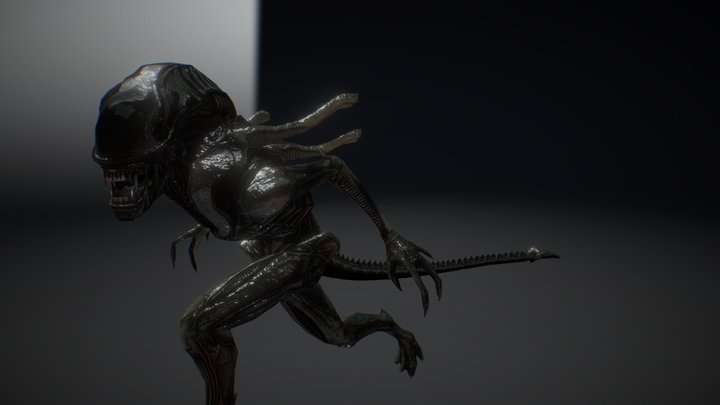 Xeno Solder 3D Model