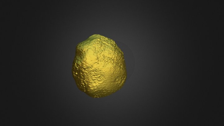 03a 3D Model