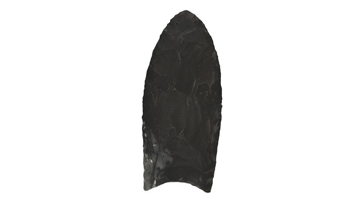 Replica Projectile Point 3D Model