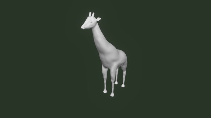 Giraffe Camelopardalis 3D Model