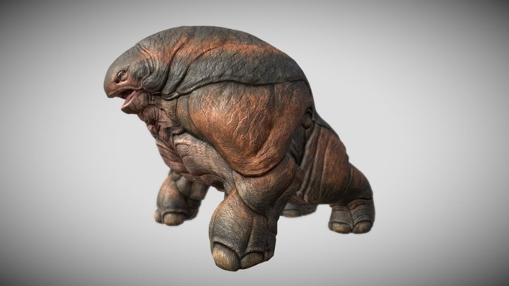 Hipomut 2021 3D Model