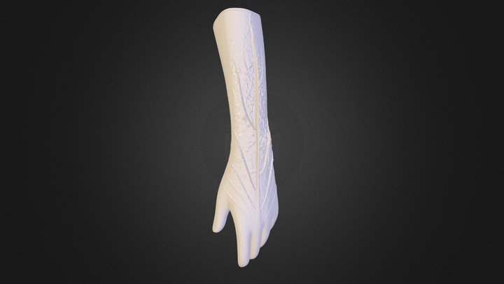 Diseno Prótesis Mujer N3 3D Model